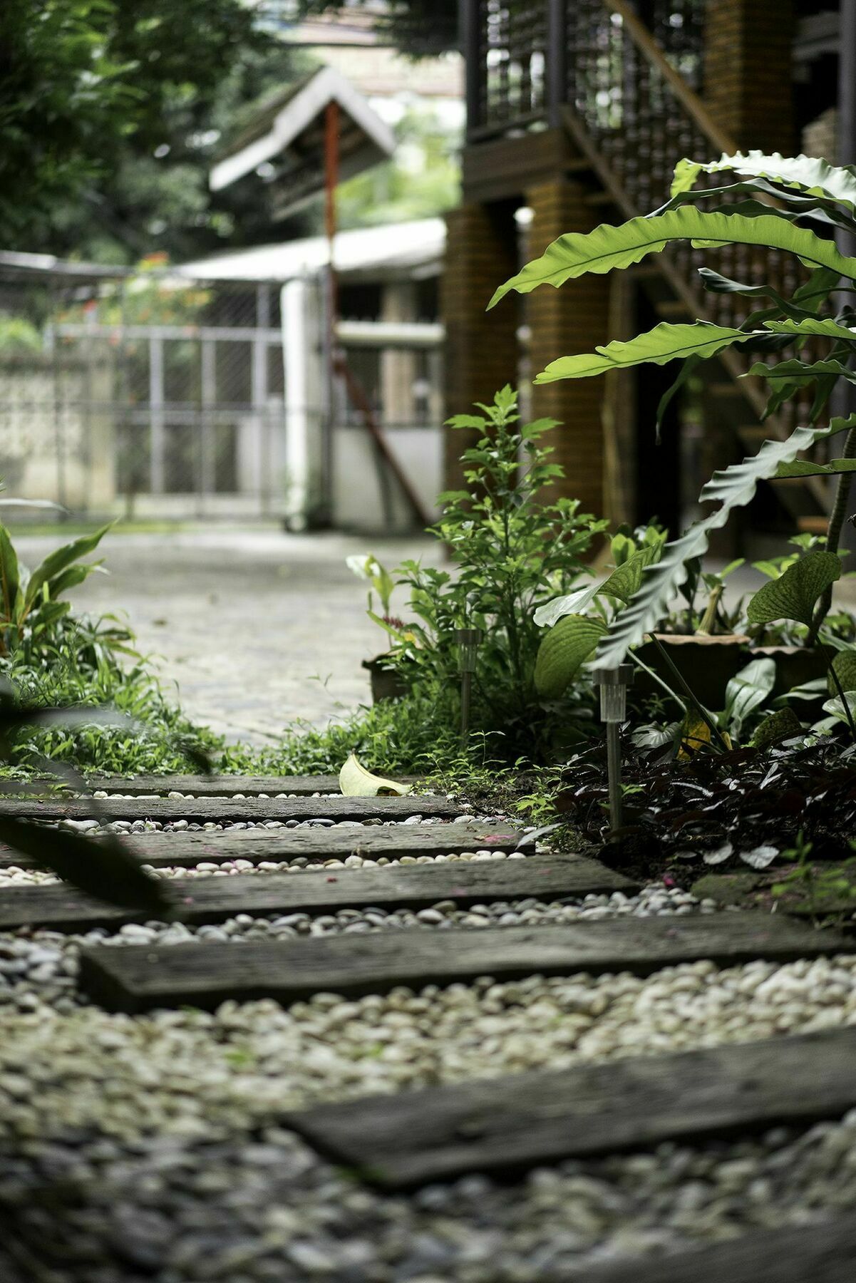 Sarah Guest House Chiang Mai Bagian luar foto