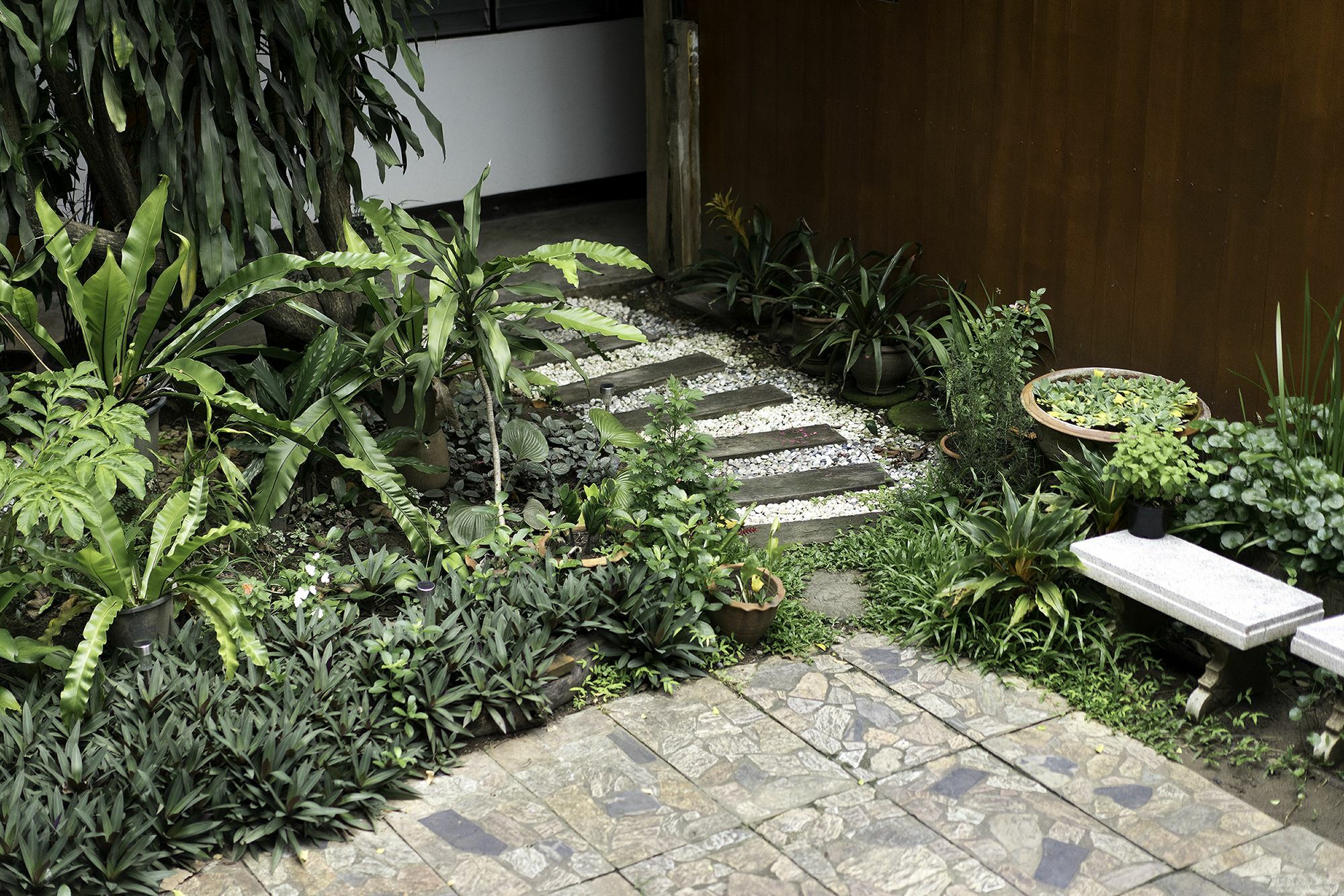 Sarah Guest House Chiang Mai Bagian luar foto